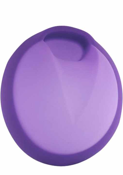 2 PCS OF MENSTRUAL DISC (Size L/Purple)