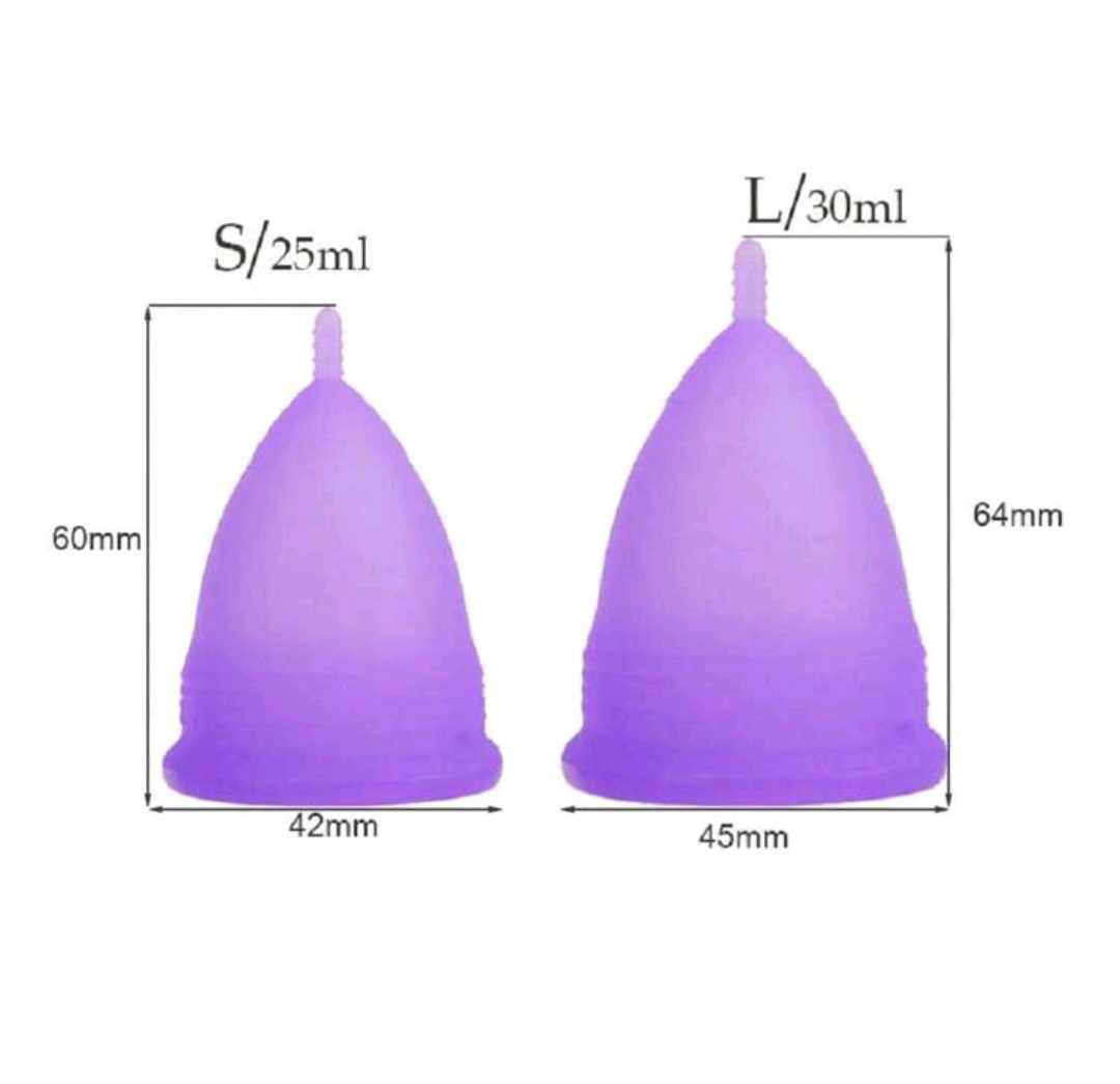 2 PIECES OF MENSTRUAL CUP IN A CASE (Size L/Purple)