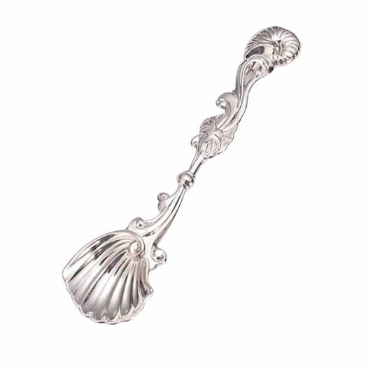 SUGAR SPOON SEA SHELL (1pc)